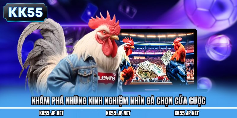 Khám phá những kinh nghiệm nhìn gà chọn cửa cược